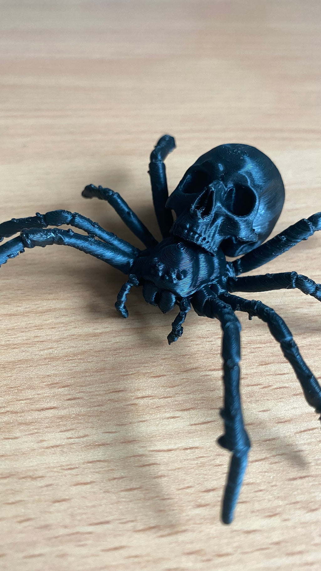 The most realistic skull spider