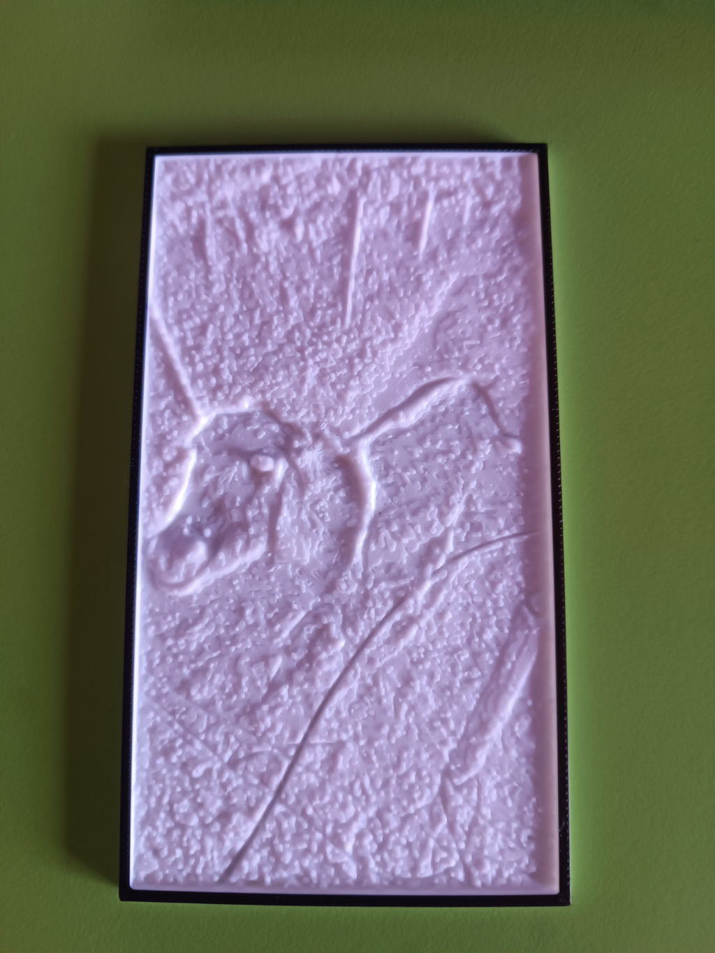 Lithophane asinella sarda