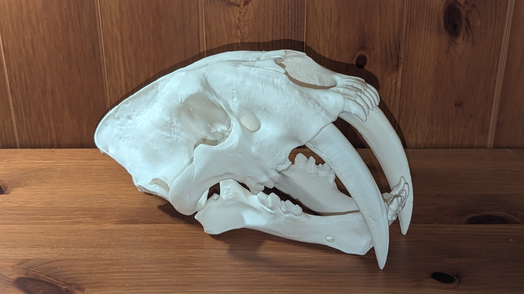 Simildon skull