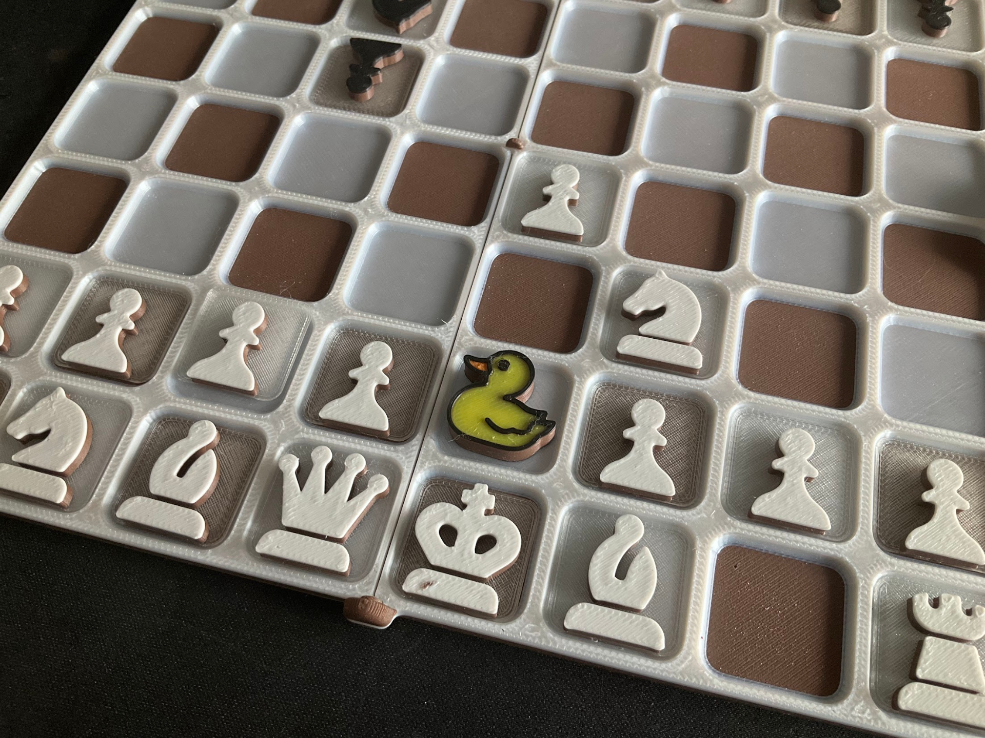Duck for ptravel chess