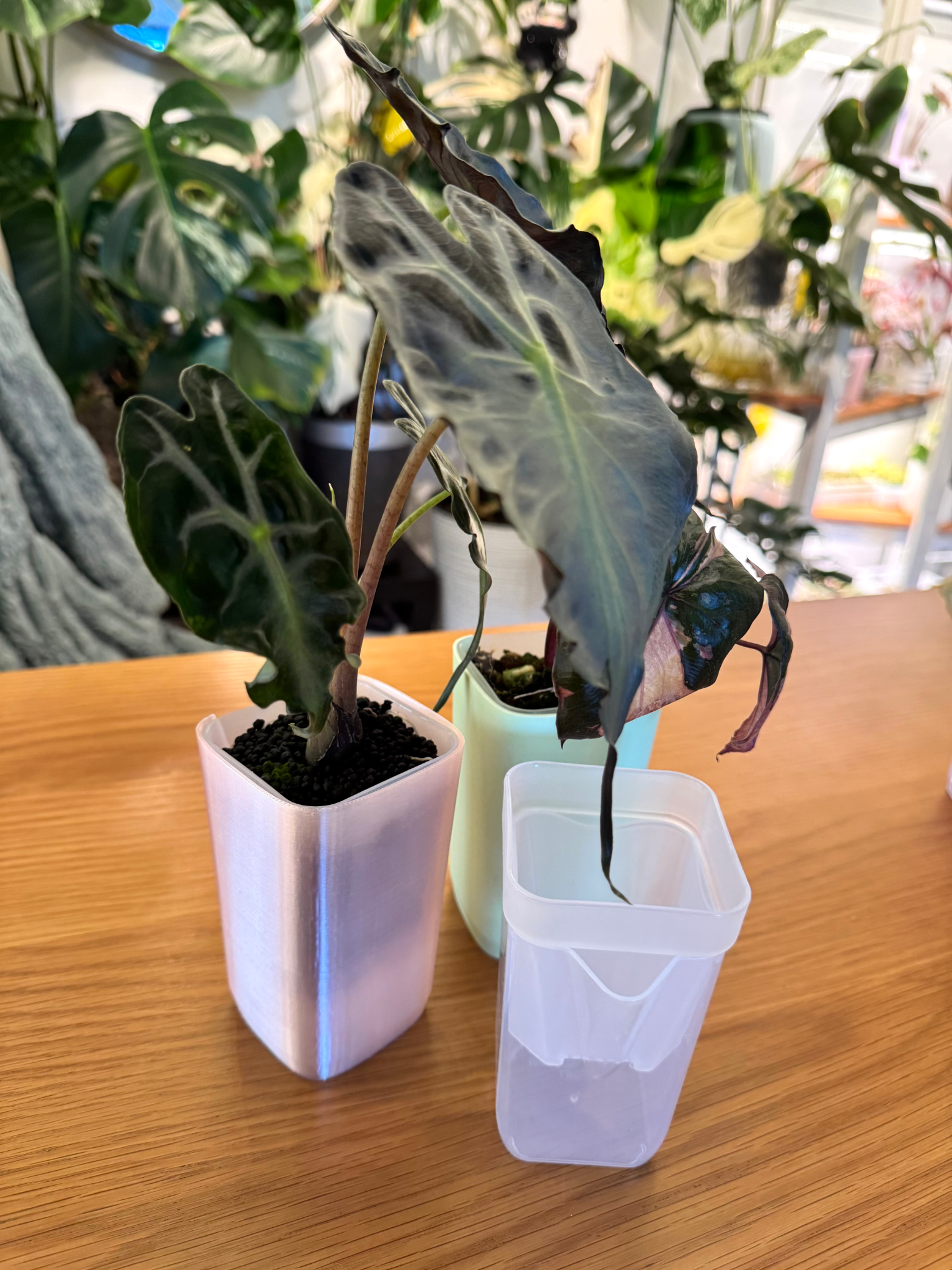 Nursery Pot Plant Sleeves