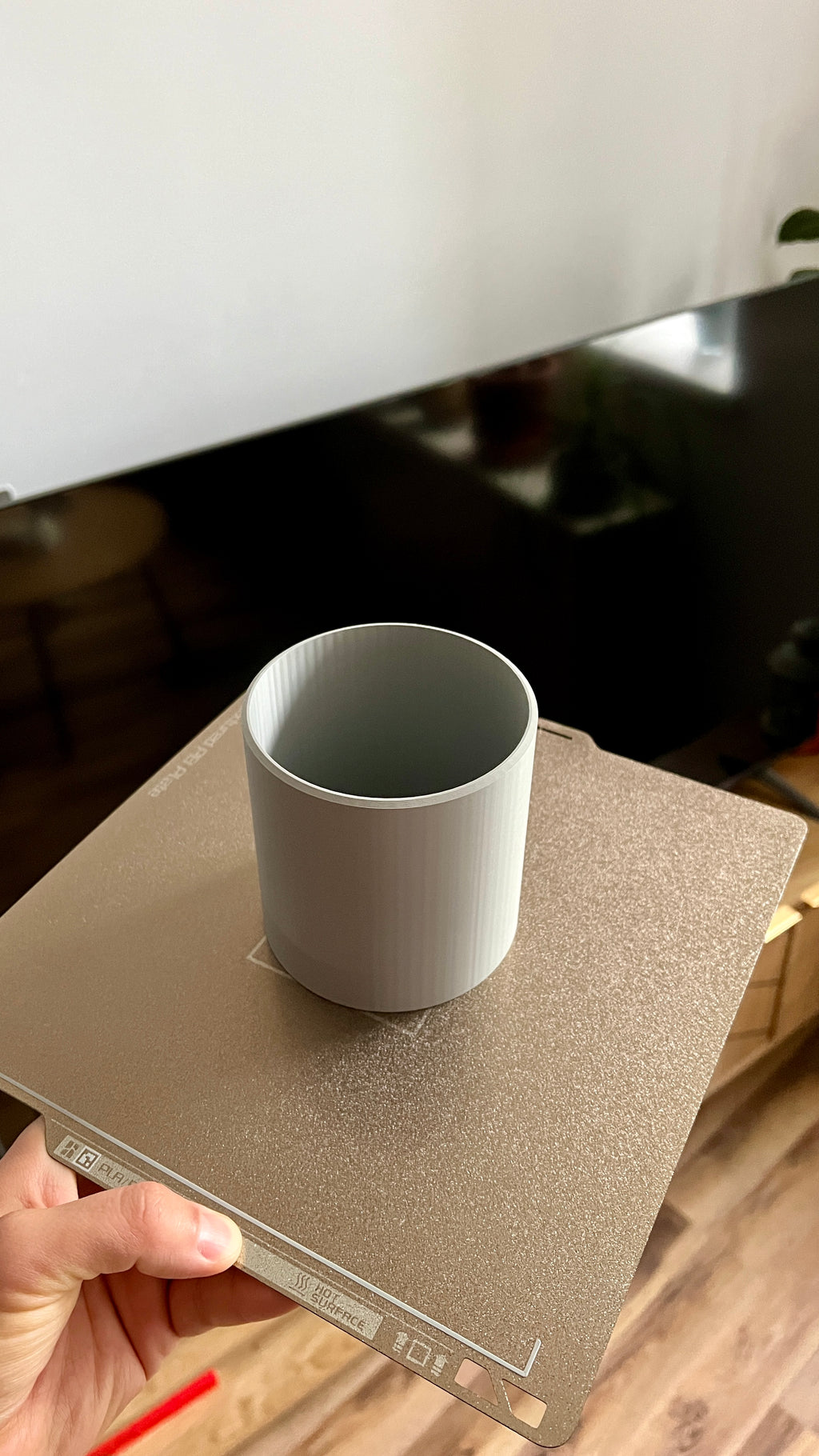 Snack Tray with Removable Center Container