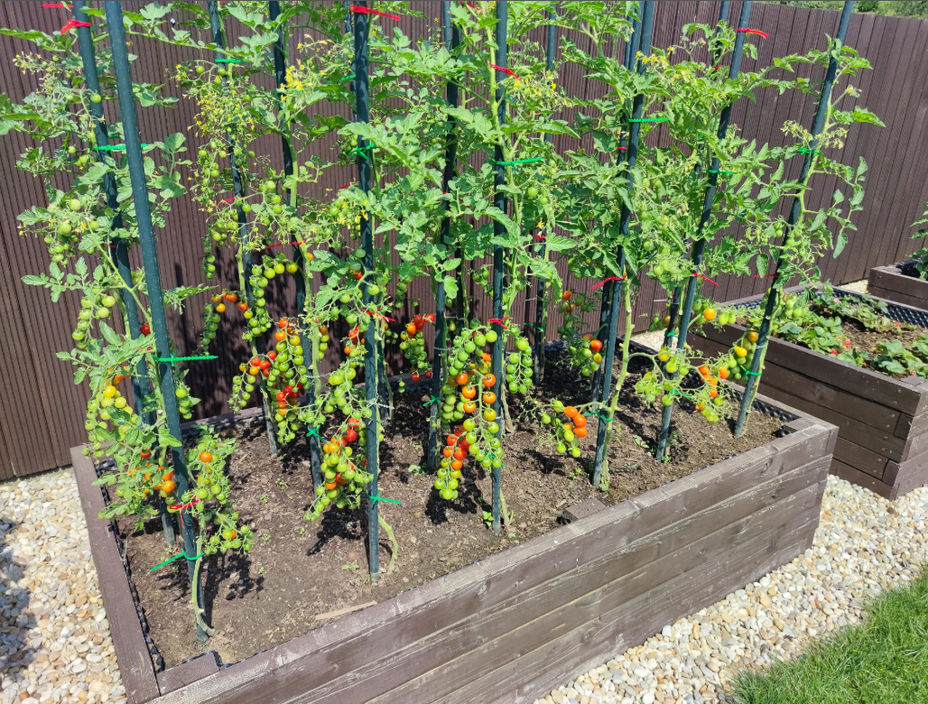 Simple Flexible Reusable Gardening Tape/ Zip Tie