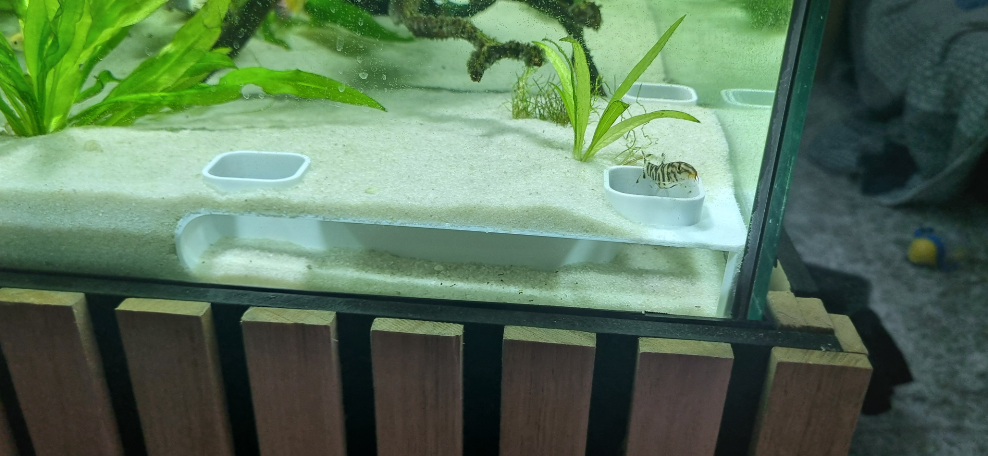 Fish Tank Corner Tunnel