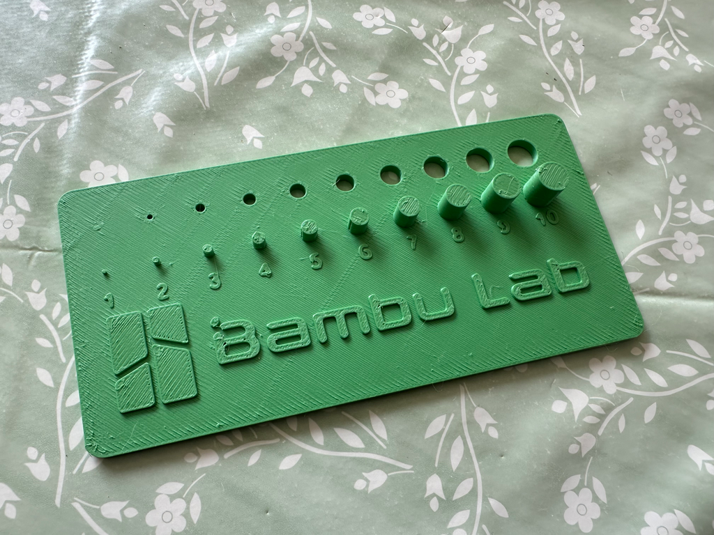 Calibration Print with holes and pegs Bambu Labs