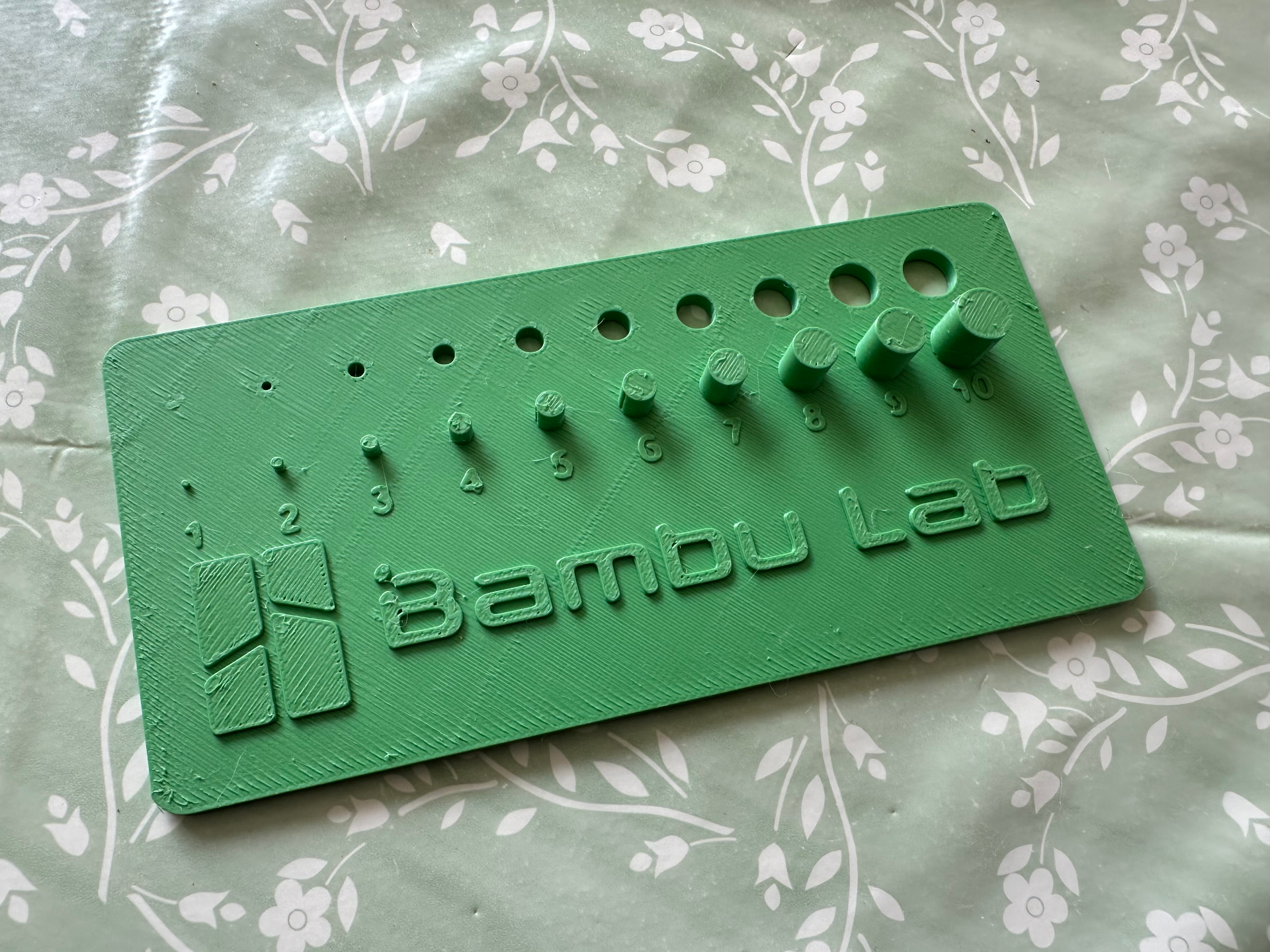 Calibration Print with holes and pegs Bambu Labs