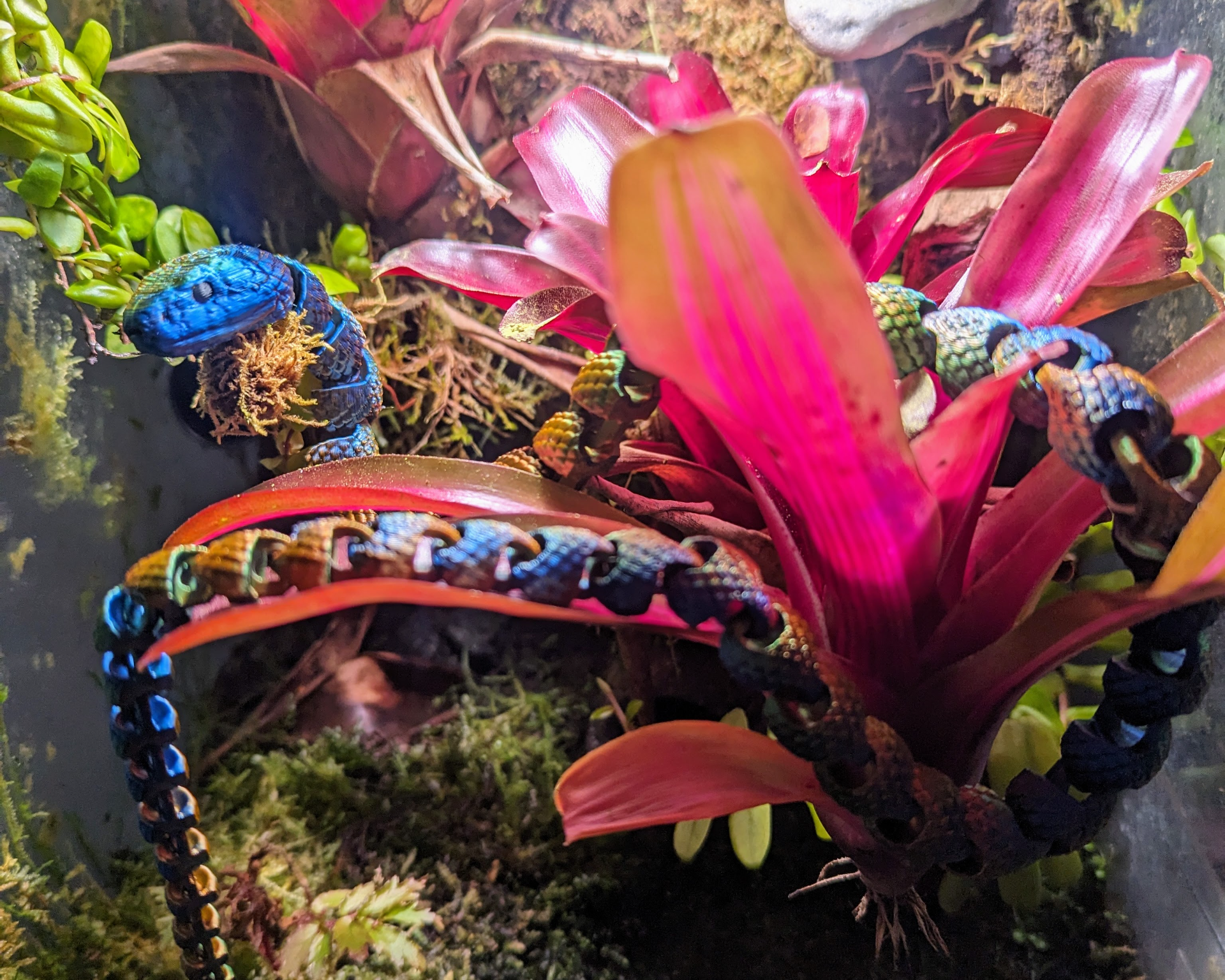 Articulated Snake