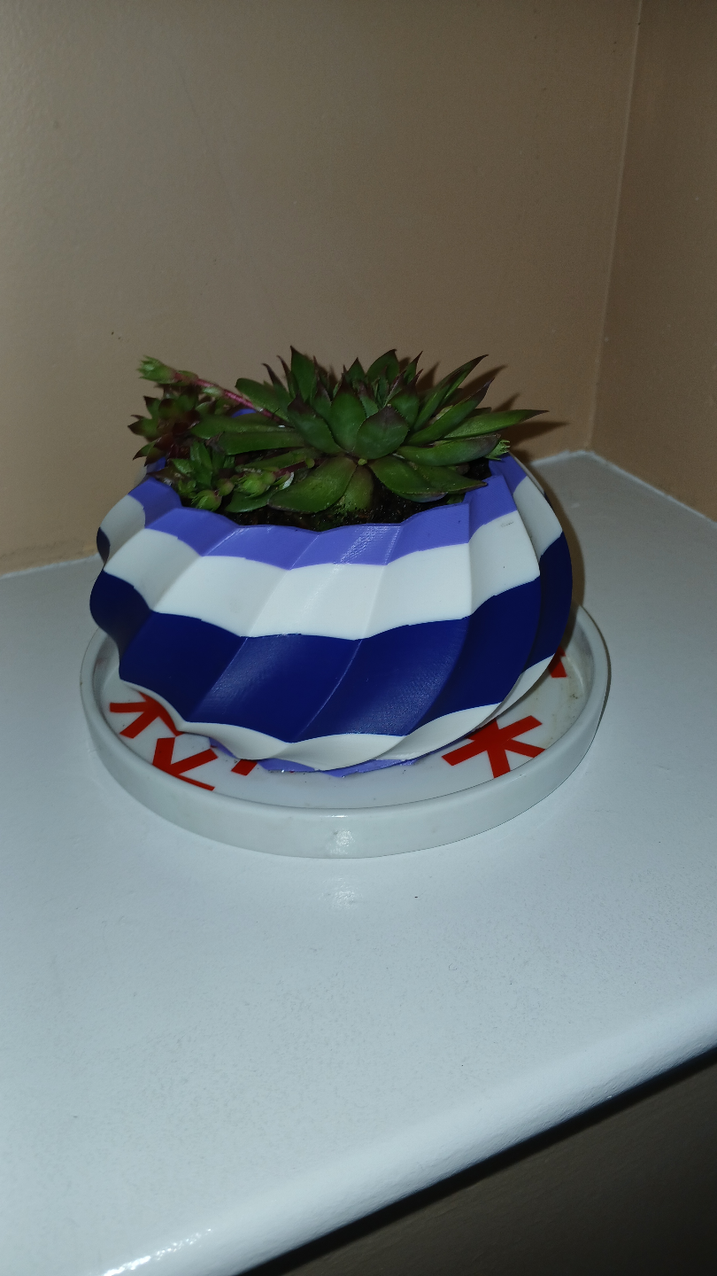 Modern Succulant Plant Pot