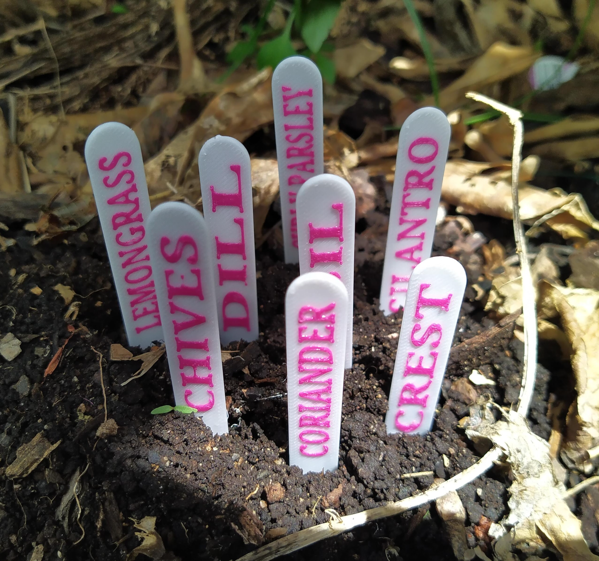 COMMON GARDEN HERBS STAKES SIGNS