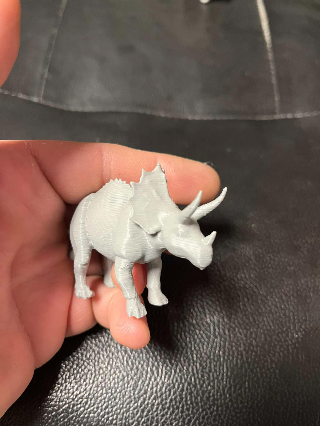 Triceratops dinosaur