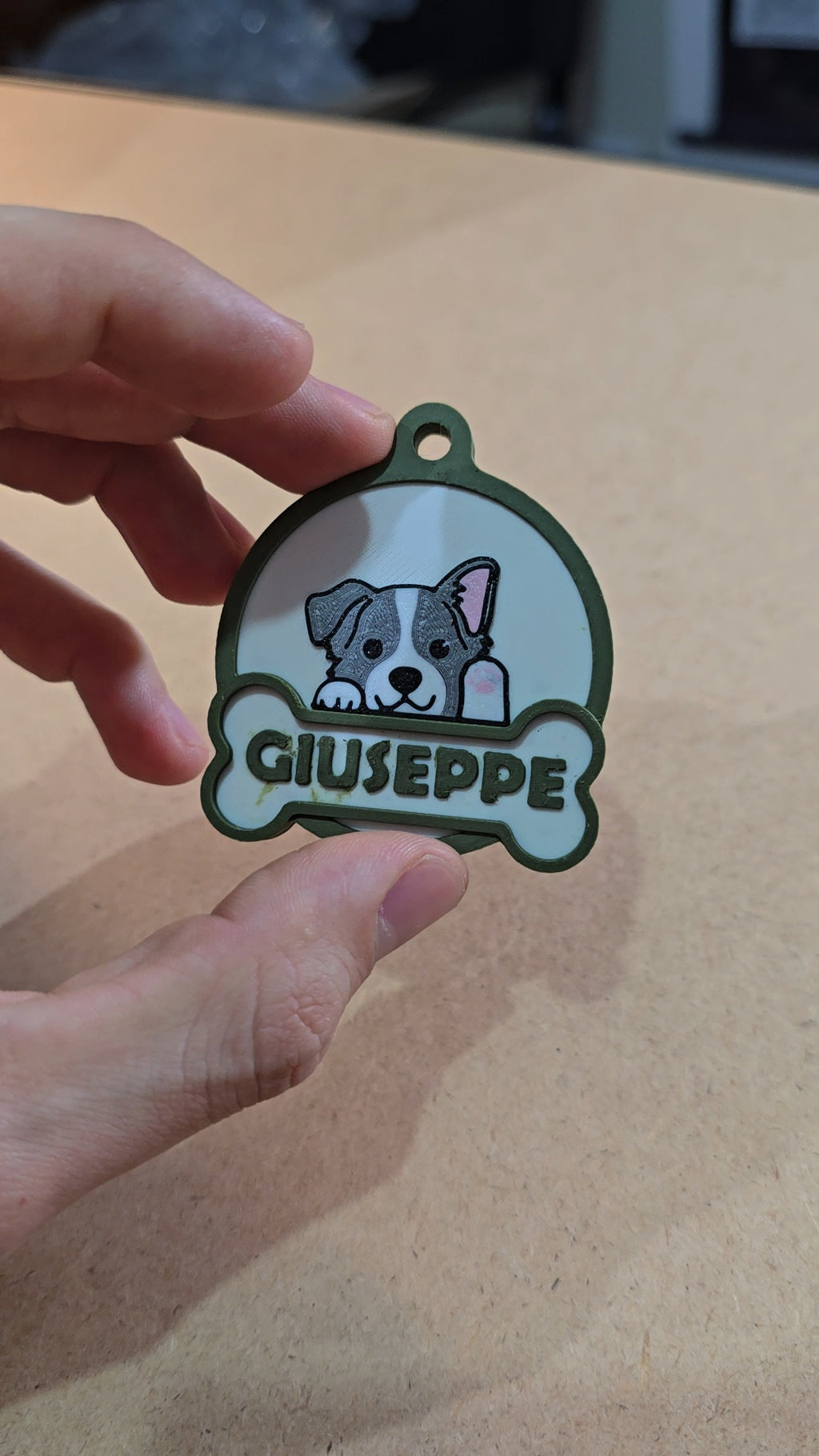 Dog tag costum-placa para perro editable