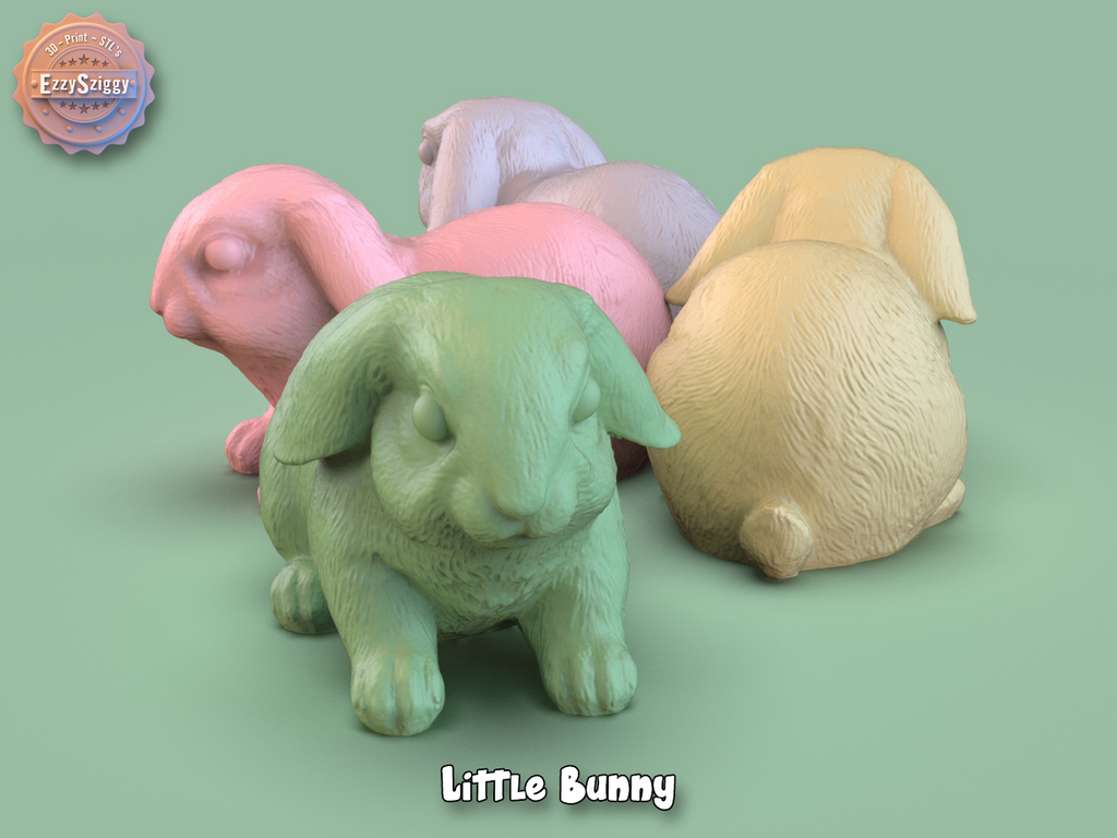 Little Bunny