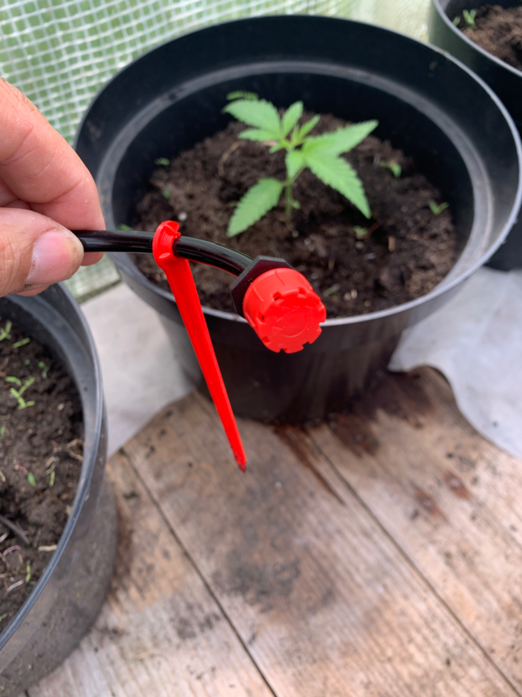 Irrigation Hose Hook