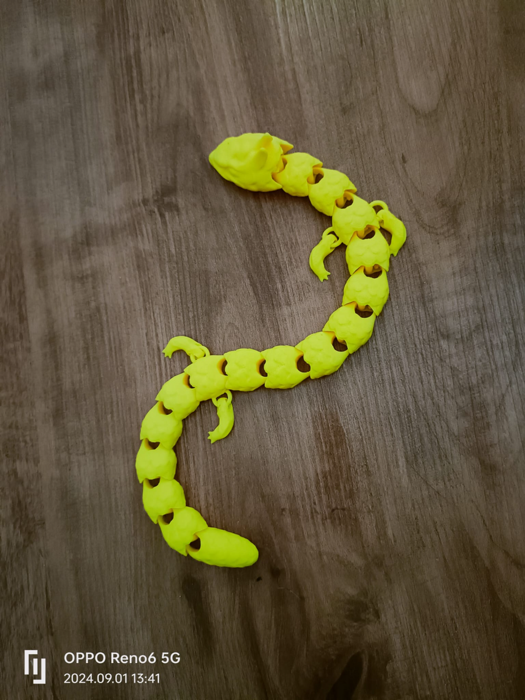 articulated dragon