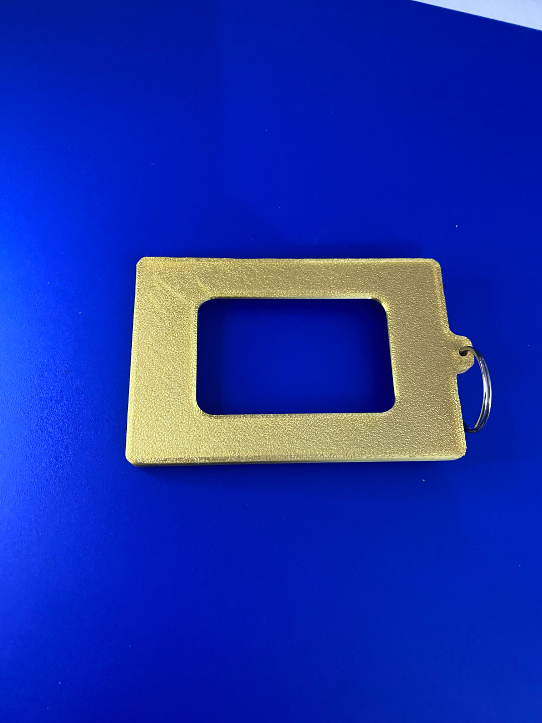 Card Holder Case with Keyring