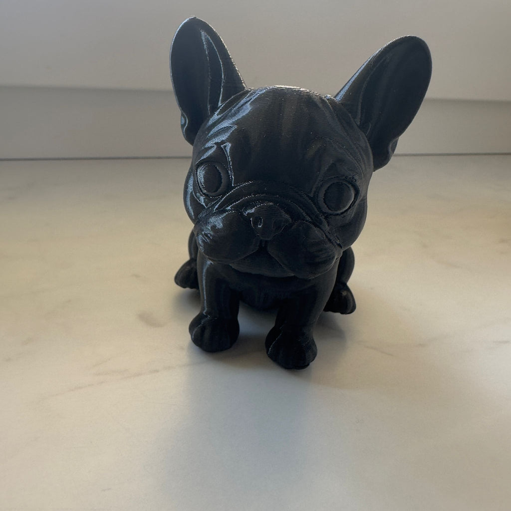 Frenchie Bulldogge