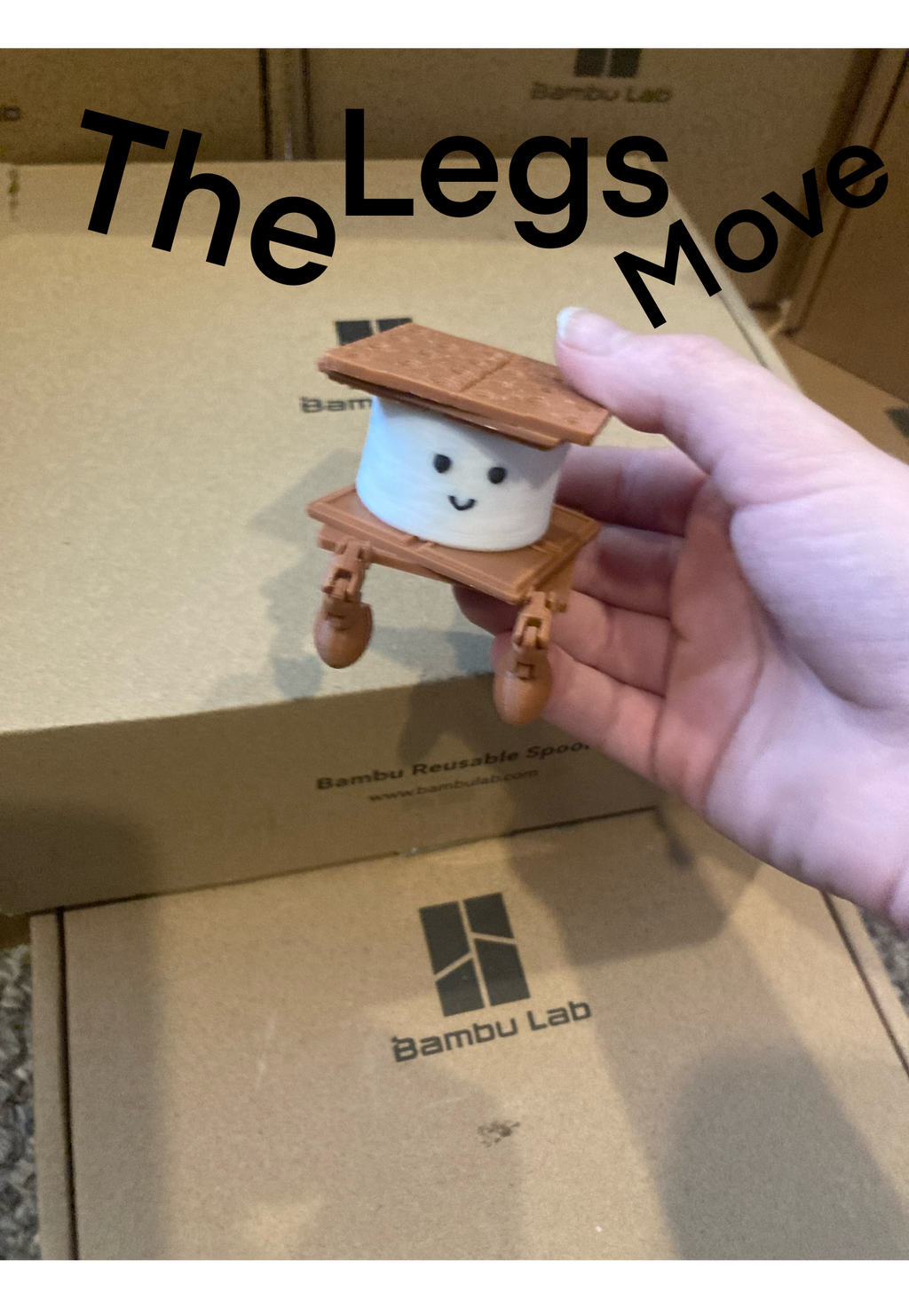 S'more Buddy