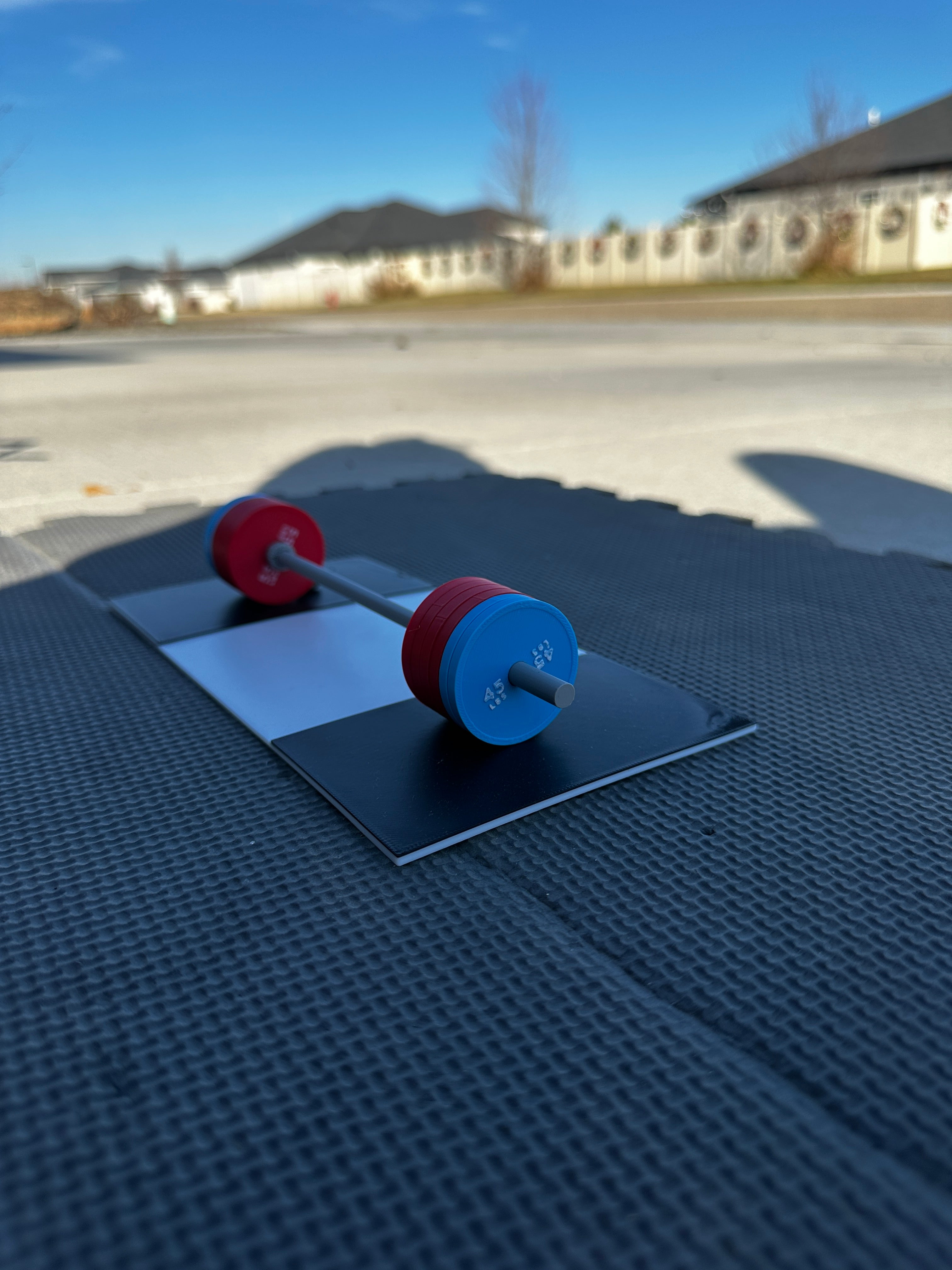 Mini Gym - Show PR's