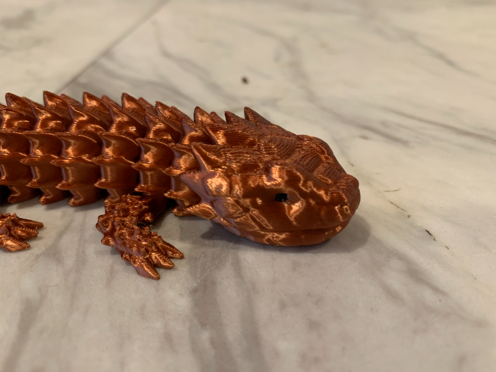 small tail armadillo lizard