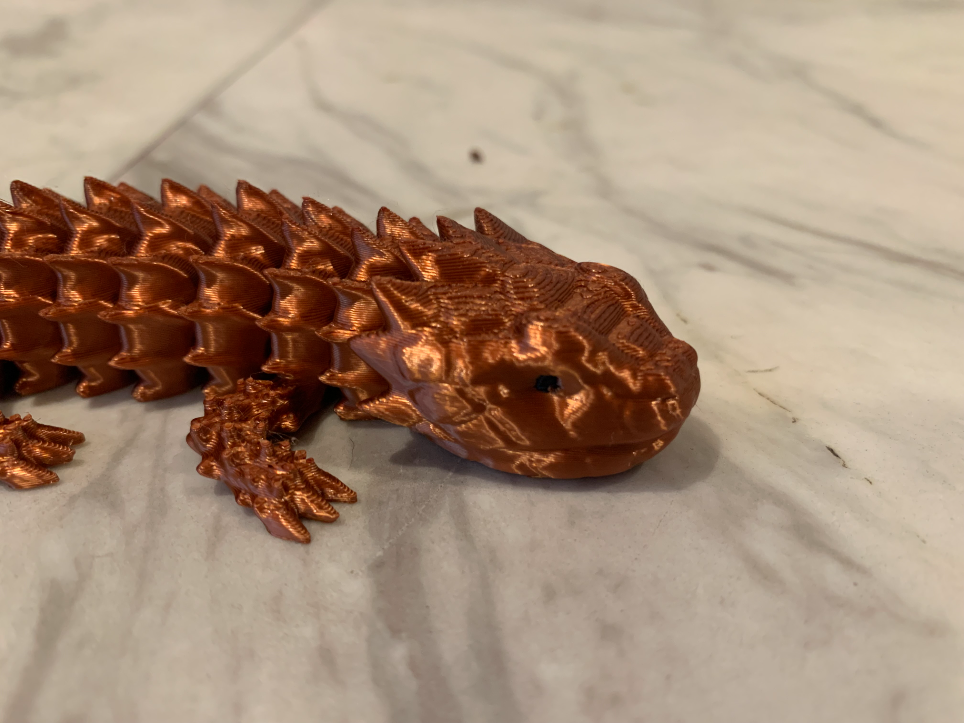 small tail armadillo lizard