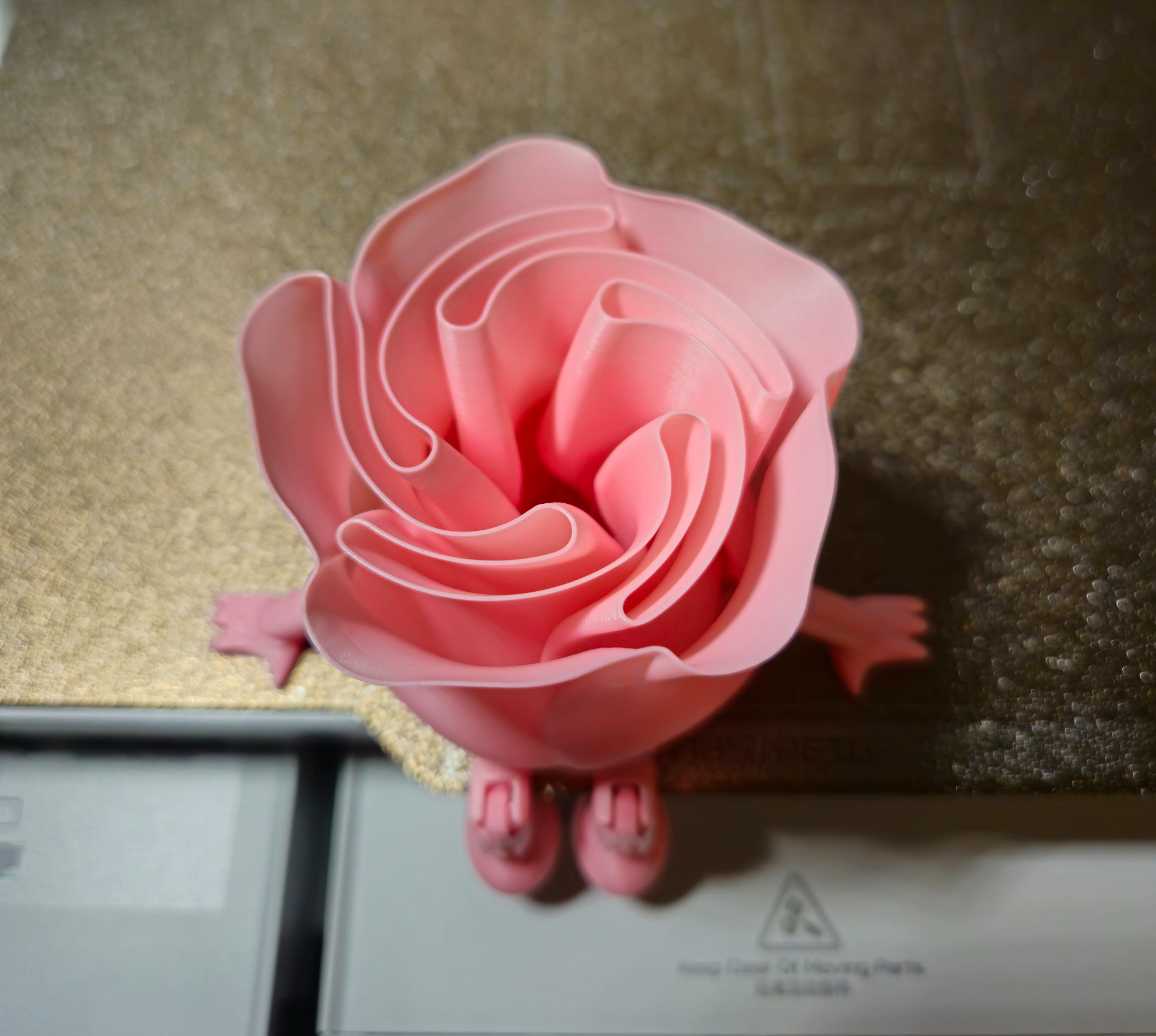 Rose Buddy Articulating