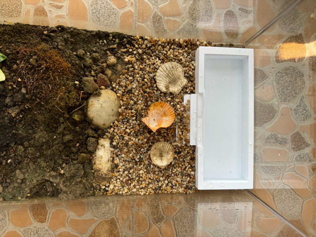 螃蟹水池Crab Pool