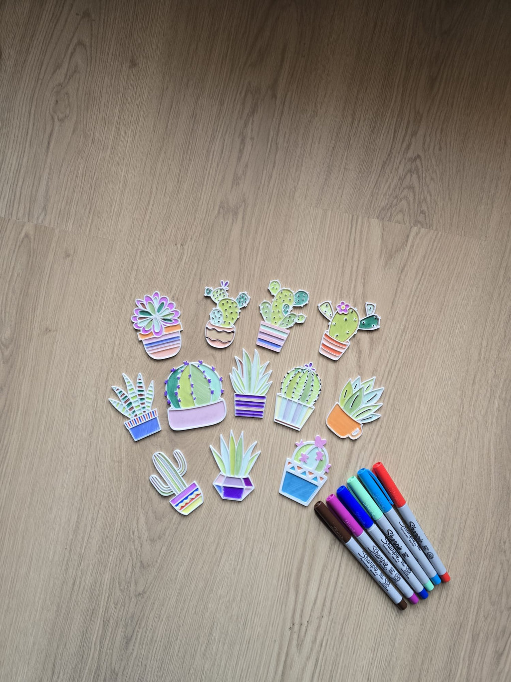 Plants Cactus Flower Pot Coloring Color Set Gift
