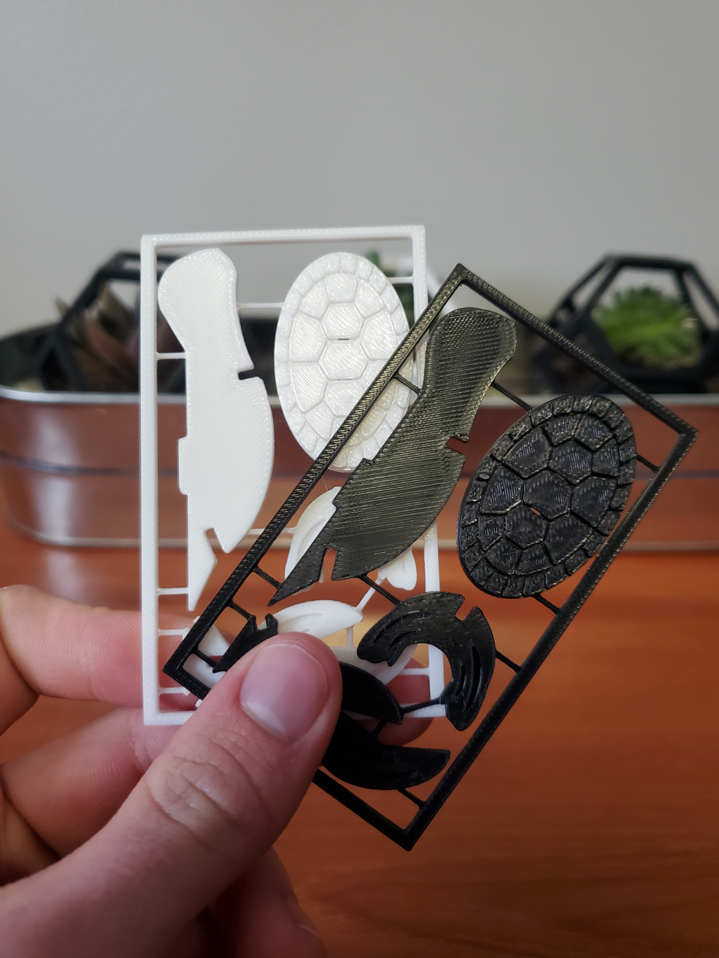 Sea Turtle Kit Card
