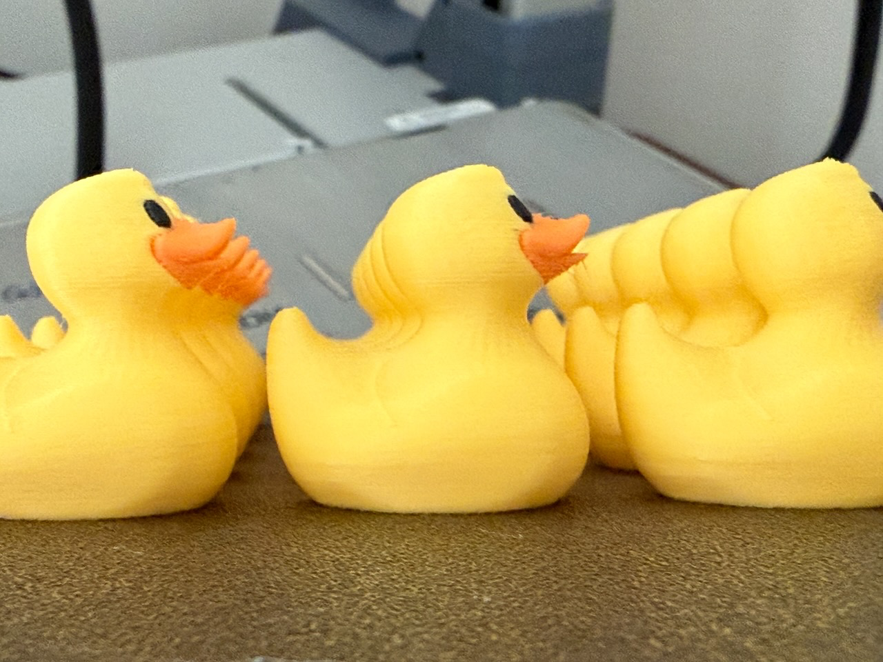 Rubber Duck (Multi-Color) 30mm