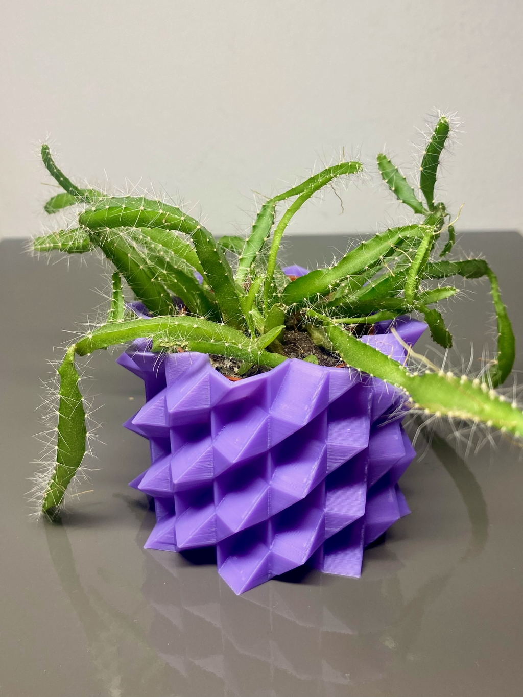 Crystal Plant Pot