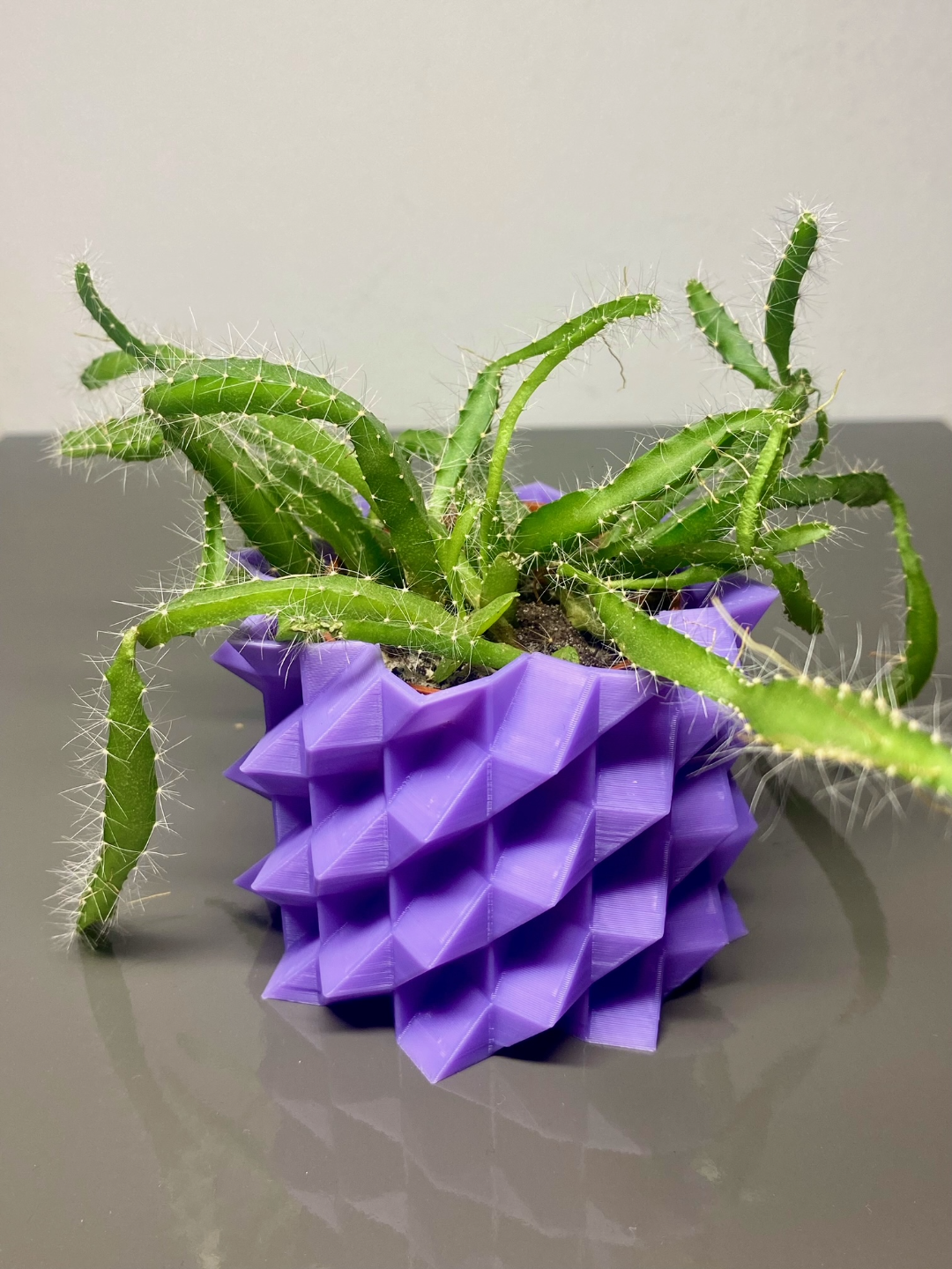 Crystal Plant Pot