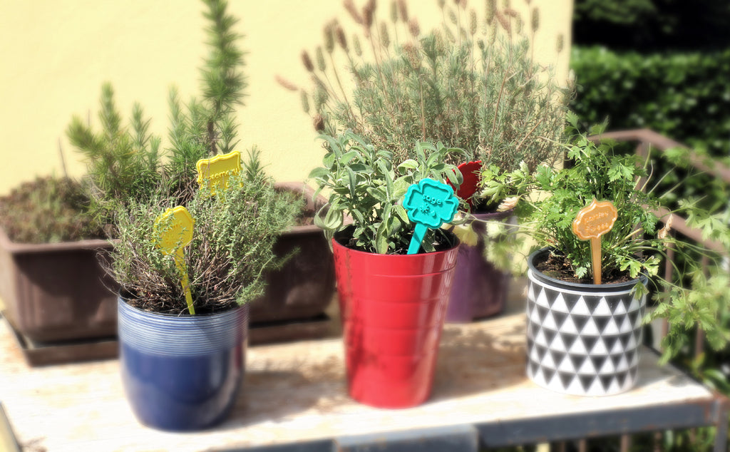 Aromatic herbal labels
