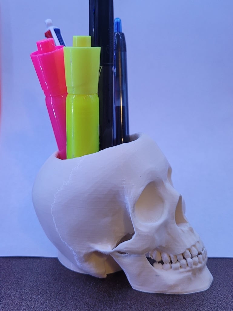 Skull Pen & Pencil Holder Cup for Desk