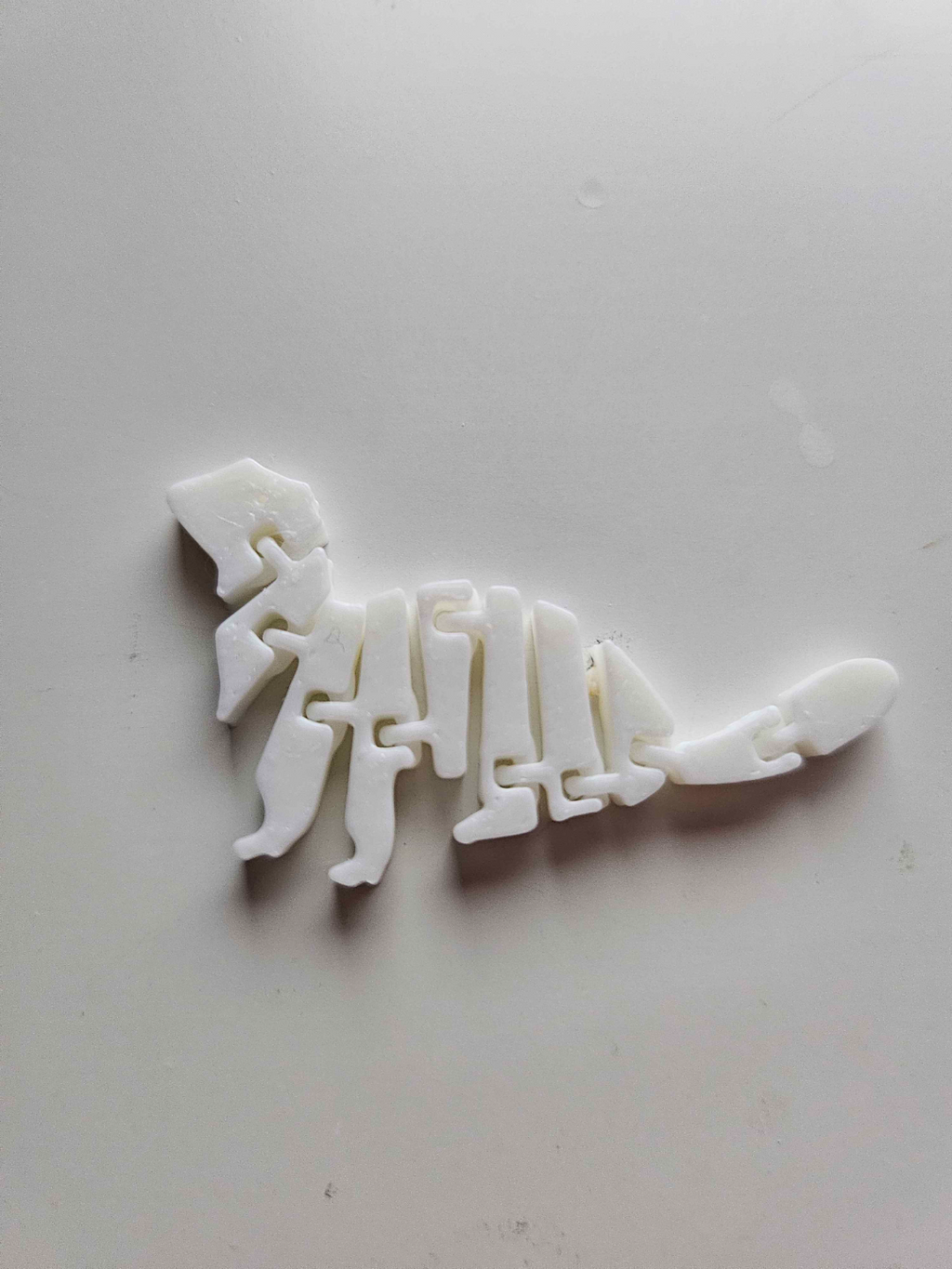 Little articulated ferret