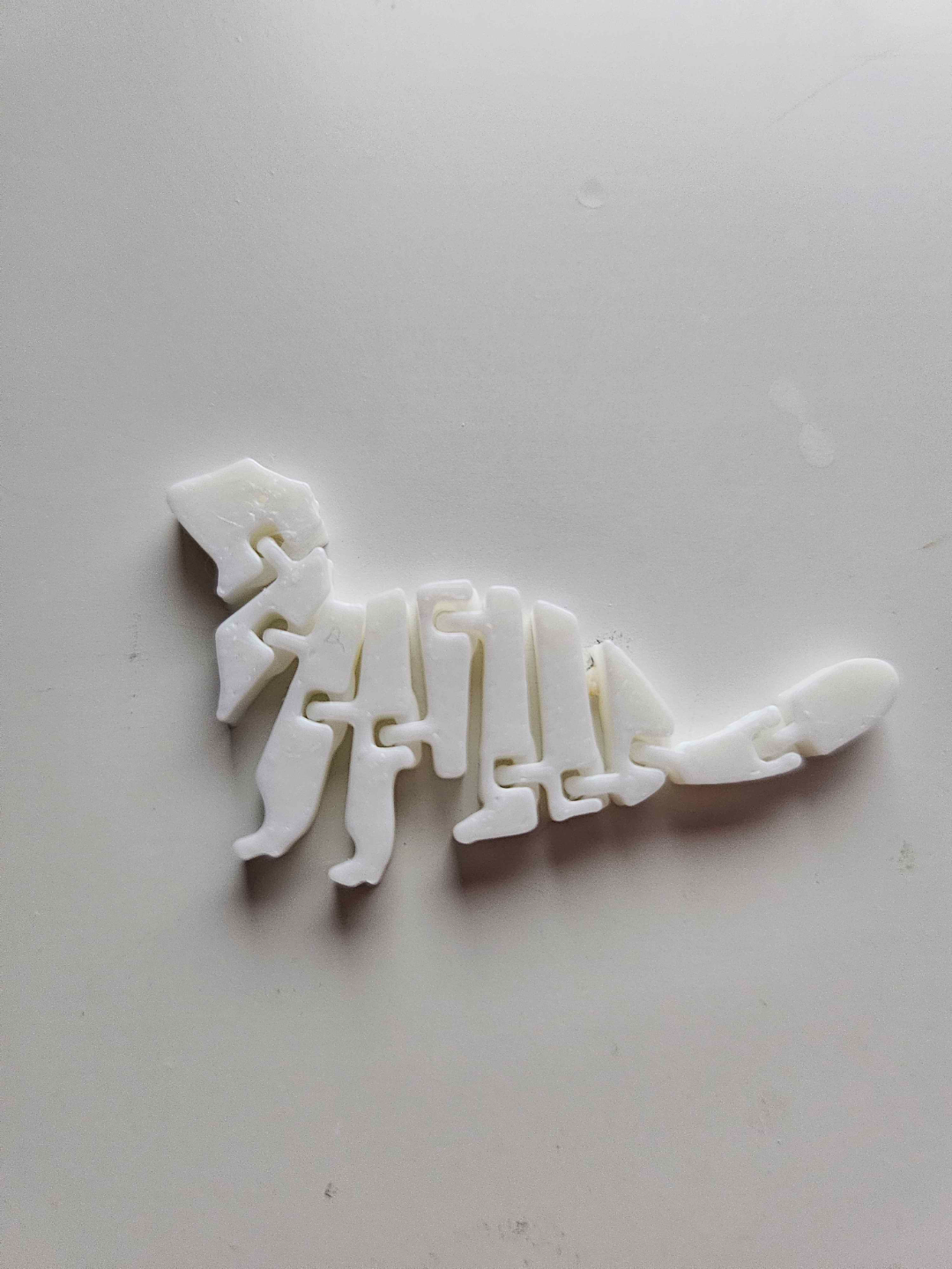Little articulated ferret