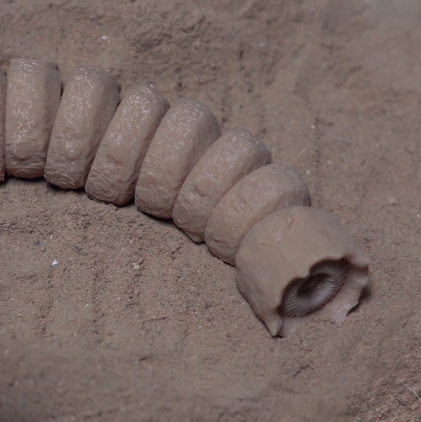 Dune Flexi Sandworm. Print in Place. Support Free.