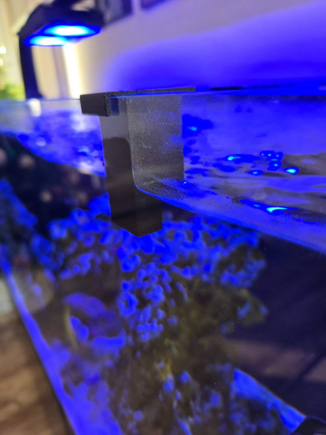 Frozen Cube Feeder