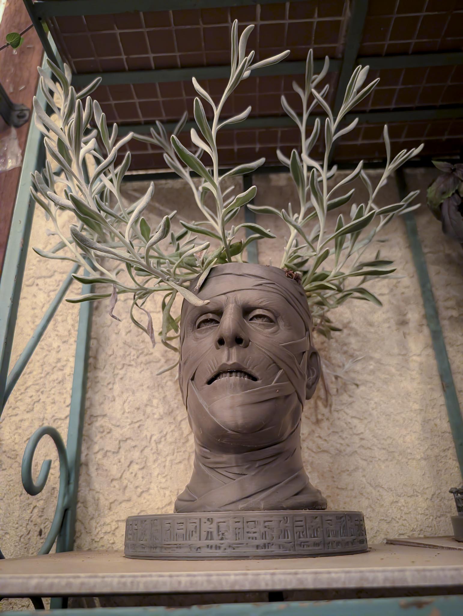 Mummy Planter