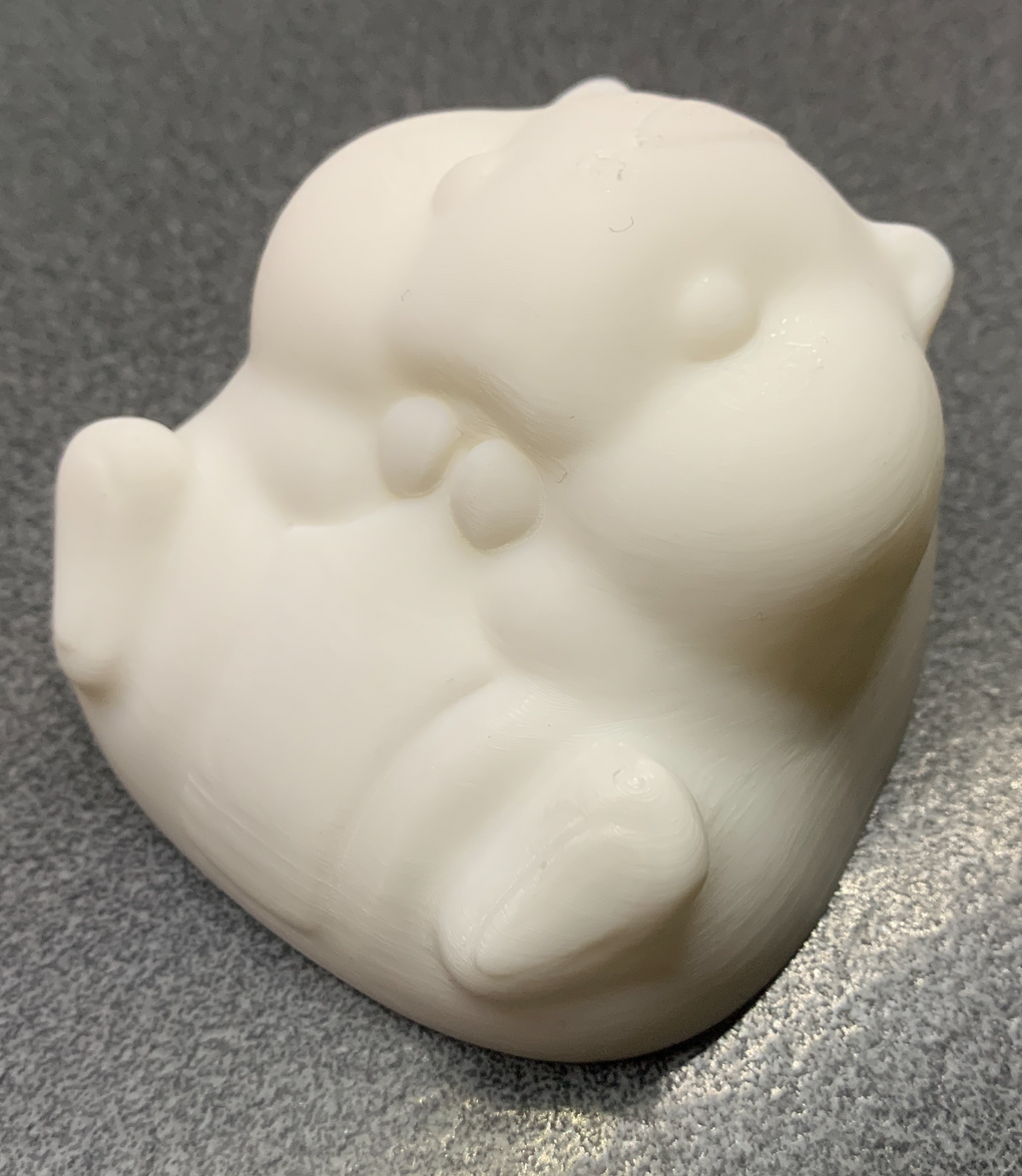 Cute Chubby Hamster