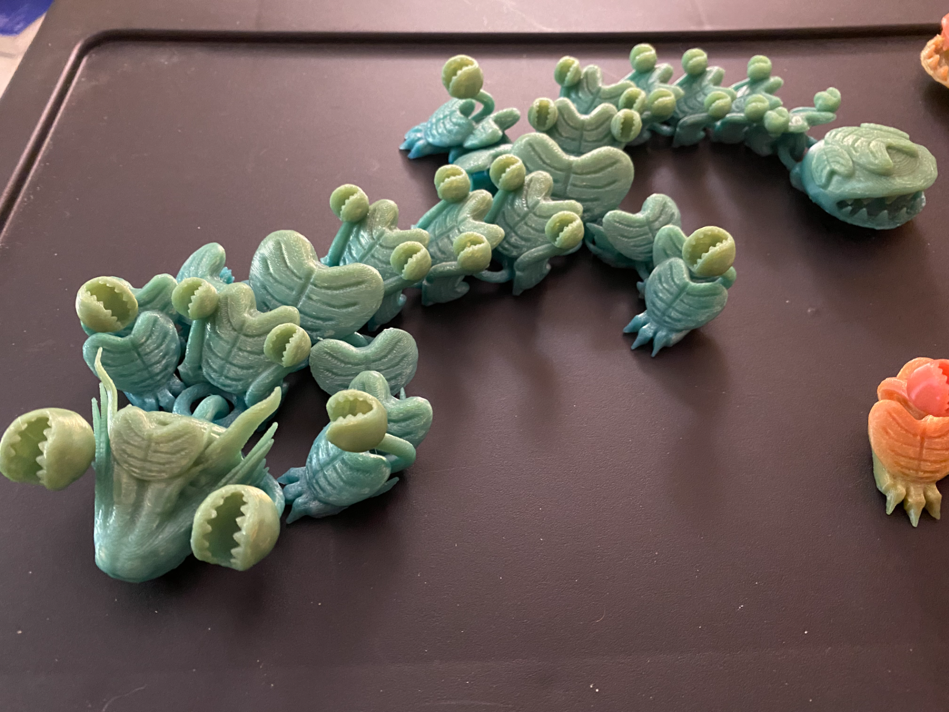 Articulated Flytrap Dragon
