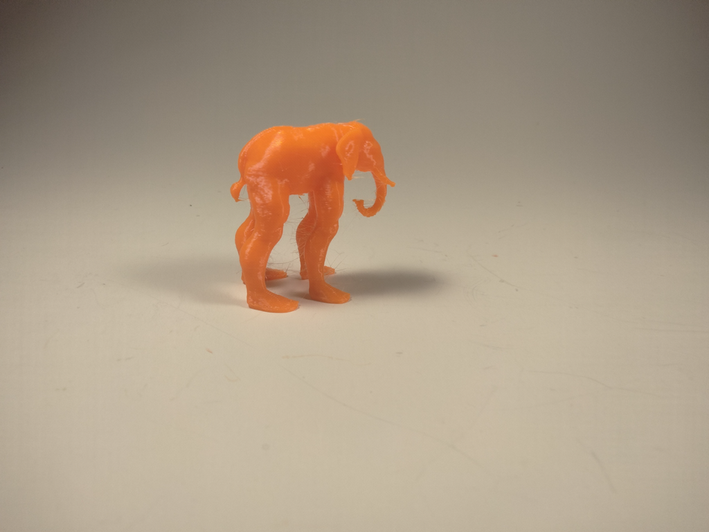 Handsome Elephant man
