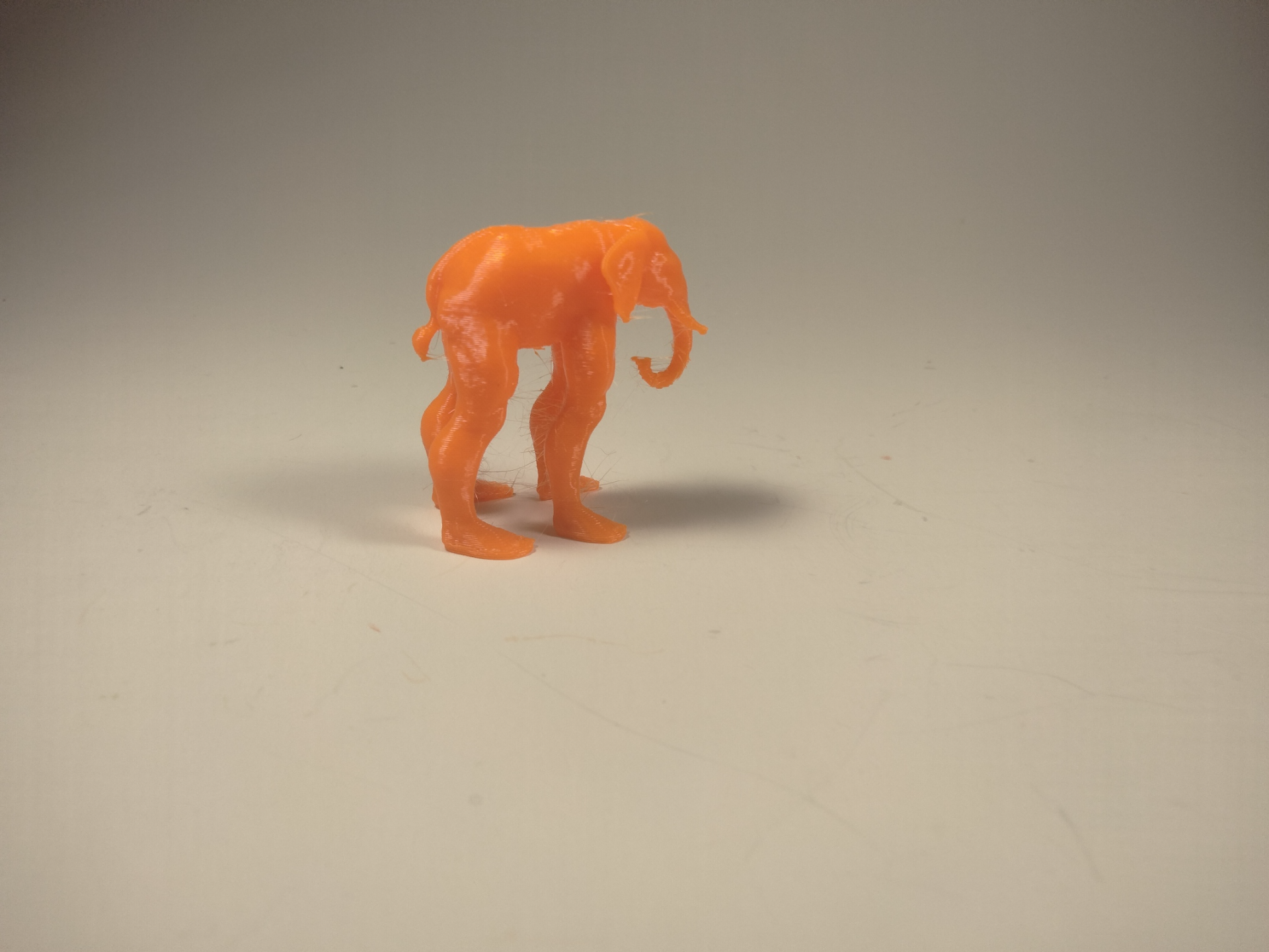 Handsome Elephant man