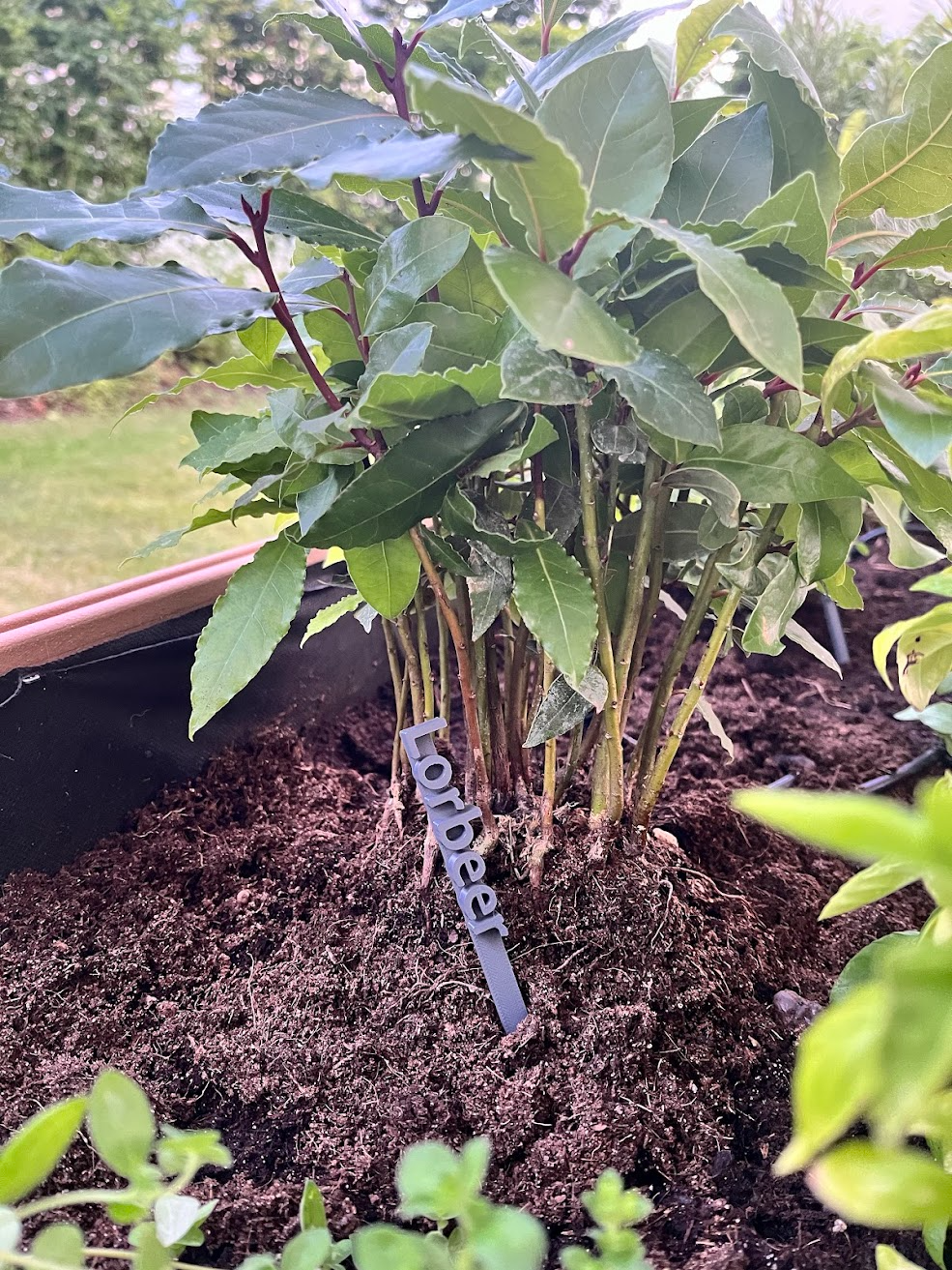 Pflanzenschilder Kräuterbeet