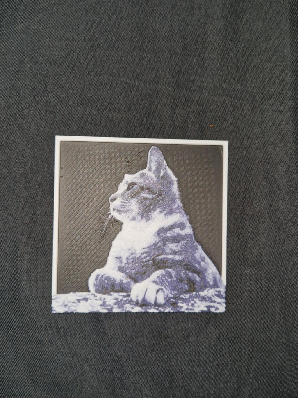 Cat side profile 3d/2d picture small with frame