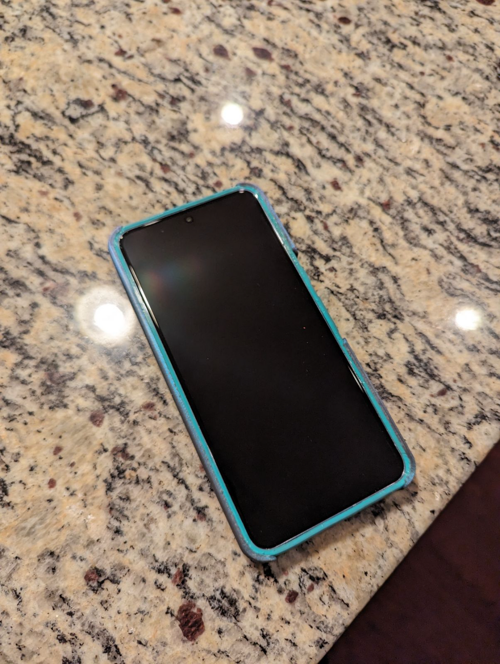 Pixel 8 Pro Dual Shell Case
