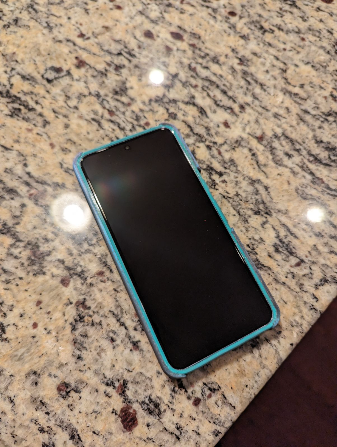 Pixel 8 Pro Dual Shell Case
