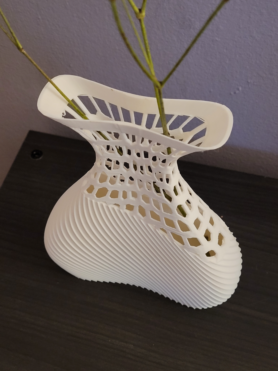 Elegant Vase (Vase Mode)