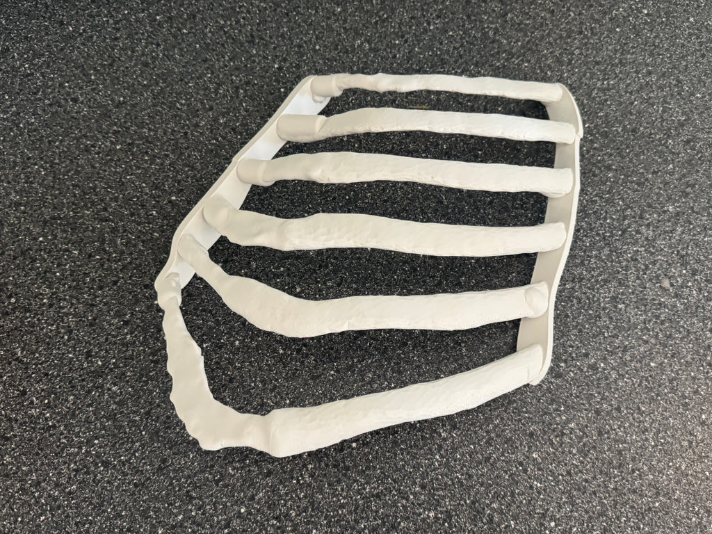 Chest Tube Trainer (Rib Model) | Thoracostomy