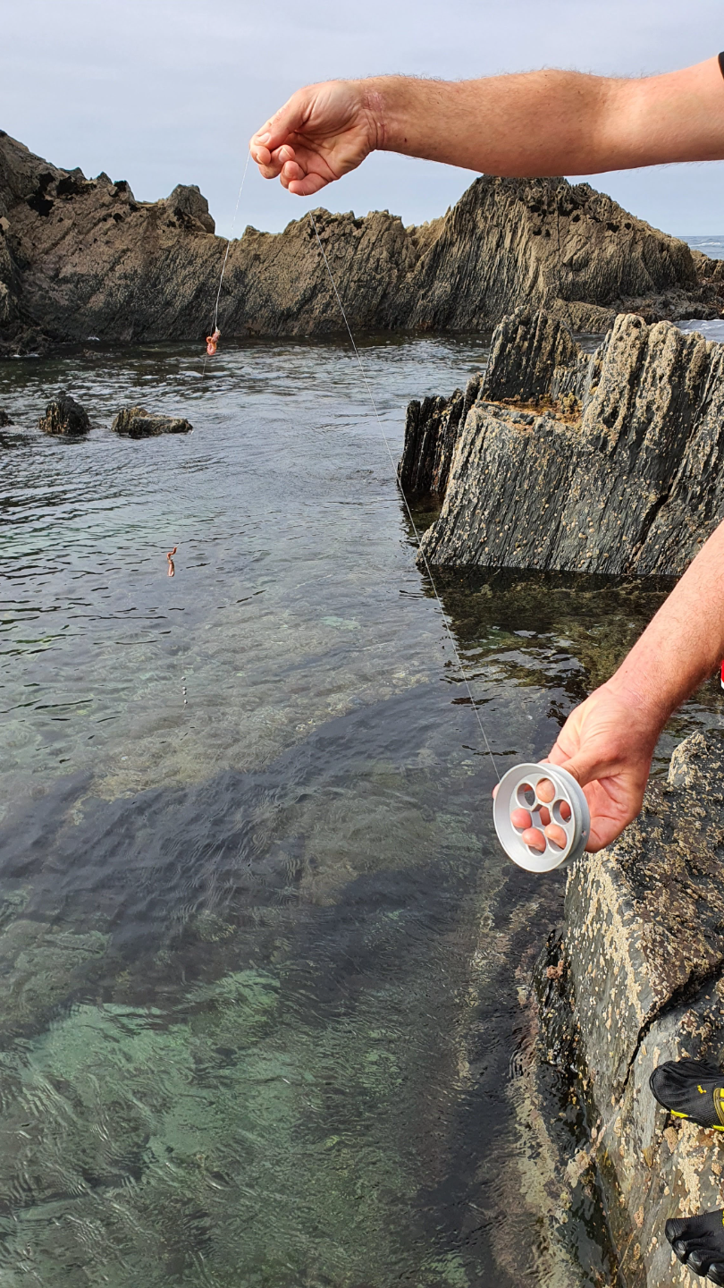 Portable hand Fishing ring (cuban YOYO) / Carrete de pesca a mano portátil