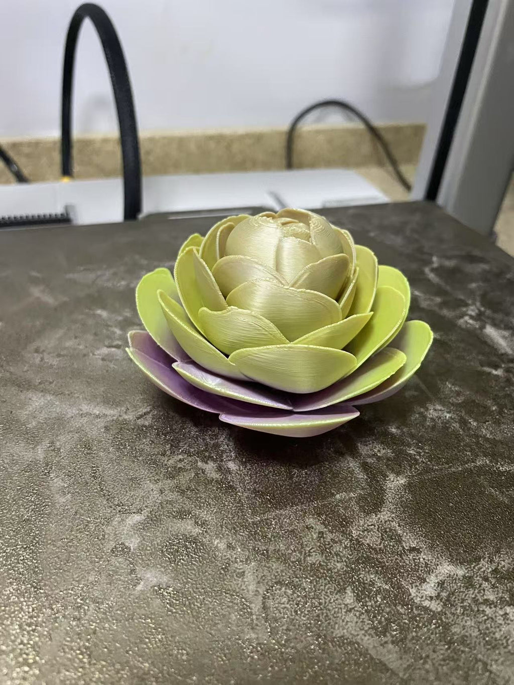 牡丹花